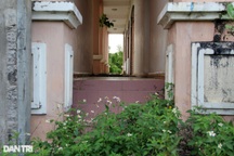 Hai công sở rộng gần 18.000m2 bị bỏ hoang ở Phú Yên