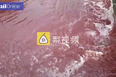 Nước sông Trung Quốc chuyển màu đỏ sau một đêm
