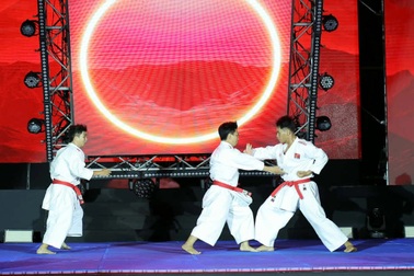 Liên hoan võ thuật quốc tế TPHCM 2025