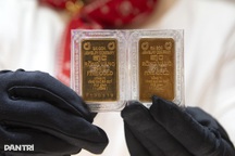 Giá vàng đầu tuần 115 triệu đồng/lượng, cuối tuần 121 triệu đồng