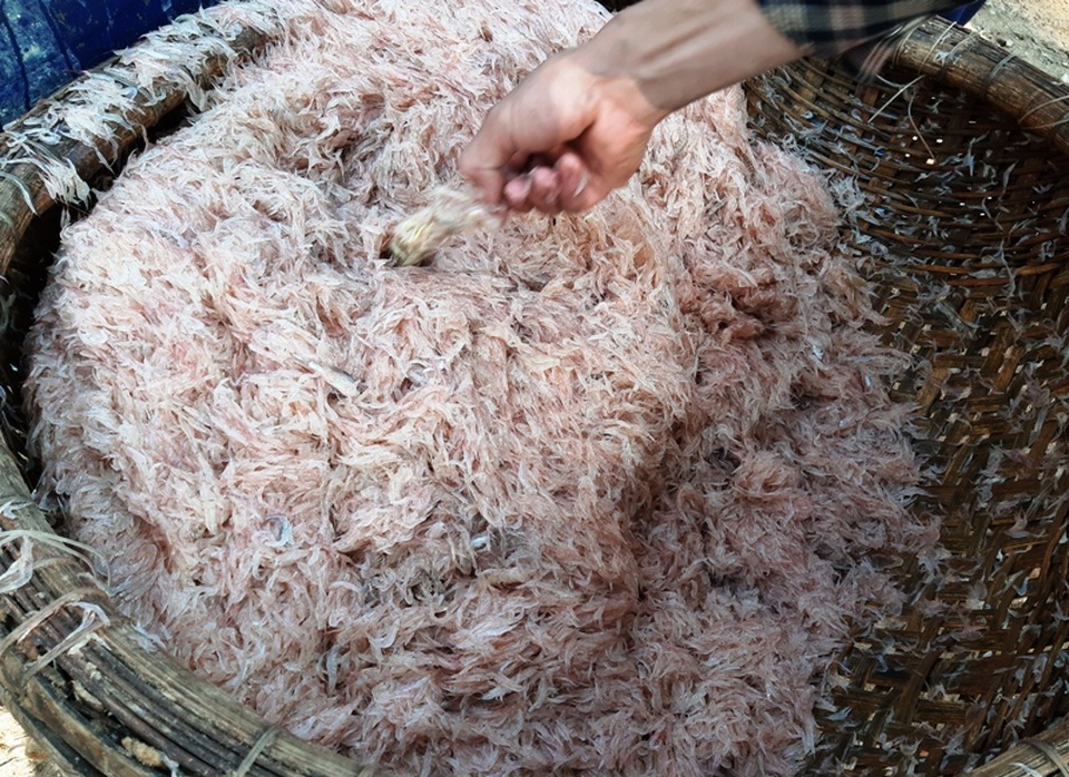 Ngư dân xứ Thanh trúng đậm lộc biển những ngày cuối năm - 9 Ngư dân xứ Thanh trúng đậm lộc biển những ngày cuối năm - 9
