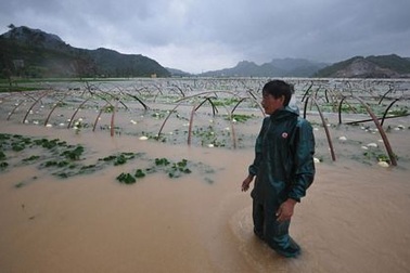 Bão mạnh tàn phá miền đông Trung Quốc 