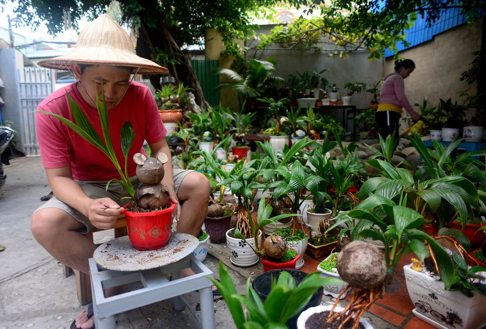 Bonsai hình chuột.jpg Bonsai hình chuột.jpg