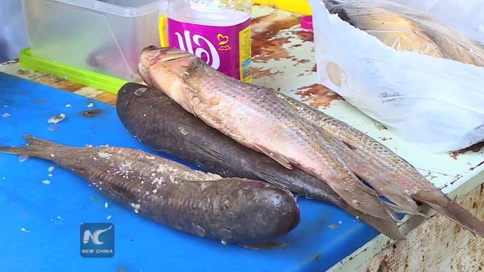 Kỳ lạ đặc sản chứa độc chết người vẫn được thực khách “săn đón” - 3 Kỳ lạ đặc sản chứa độc chết người vẫn được thực khách “săn đón” - 3