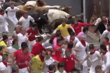 Du khách bị bò húc bất tỉnh sau cú giẫm “trời giáng”