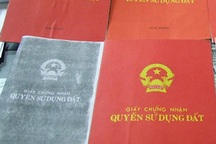Phó Thủ tướng biểu dương Báo Dân trí với 25 kỳ báo điều tra, chống tiêu cực