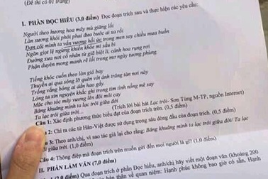 Tranh cãi quanh "Lạc trôi" của Sơn Tùng M-TP vào đề thi Ngữ văn lớp 11
