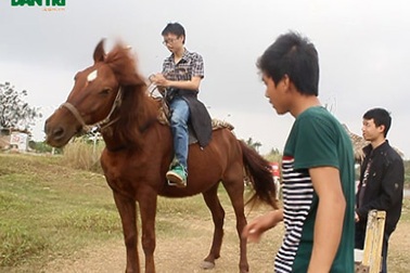 Đổ xô xếp hàng chờ… cưỡi ngựa lấy may đầu năm Giáp Ngọ 