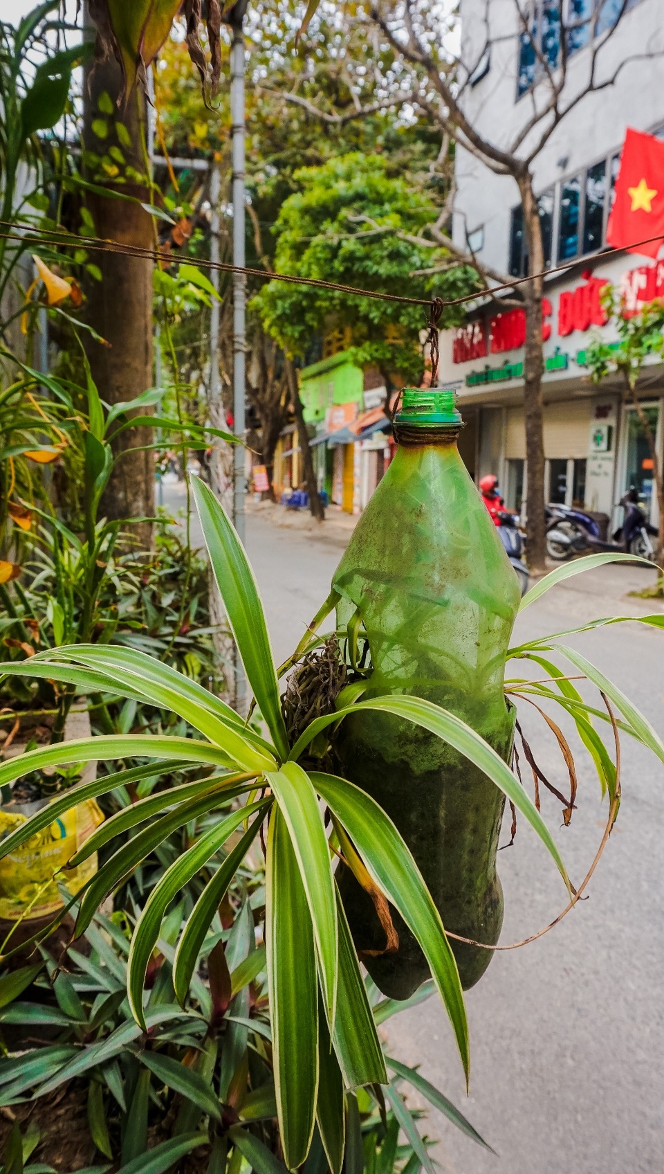 Ngỡ ngàng với khu vườn treo xanh mát được trồng trên bãi rác bốc mùi ở Hà Nội - 3 Ngỡ ngàng với khu vườn treo xanh mát được trồng trên bãi rác bốc mùi ở Hà Nội - 3