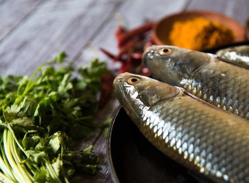Những mẹo đơn giản để chọn cá tươi ngon các bà nội trợ cần biết - 2 Những mẹo đơn giản để chọn cá tươi ngon các bà nội trợ cần biết - 2