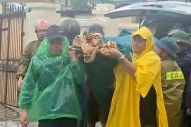 Đi kiểm tra chống bão, bí thư chi bộ bị cây đè tử vong