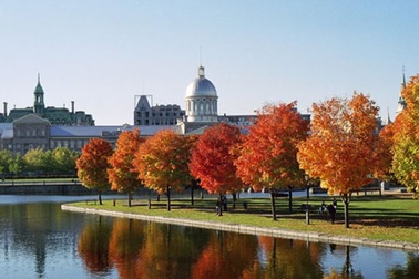 Vào phổ thông công lập Canada khó không?