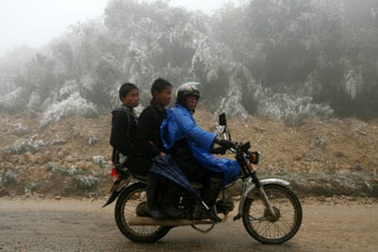 Nhiệt độ Sa Pa giảm còn 1,5 độ C, các trường nghỉ học tránh rét 