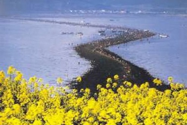 Kỳ thú hiện tượng "Biển chia đôi"