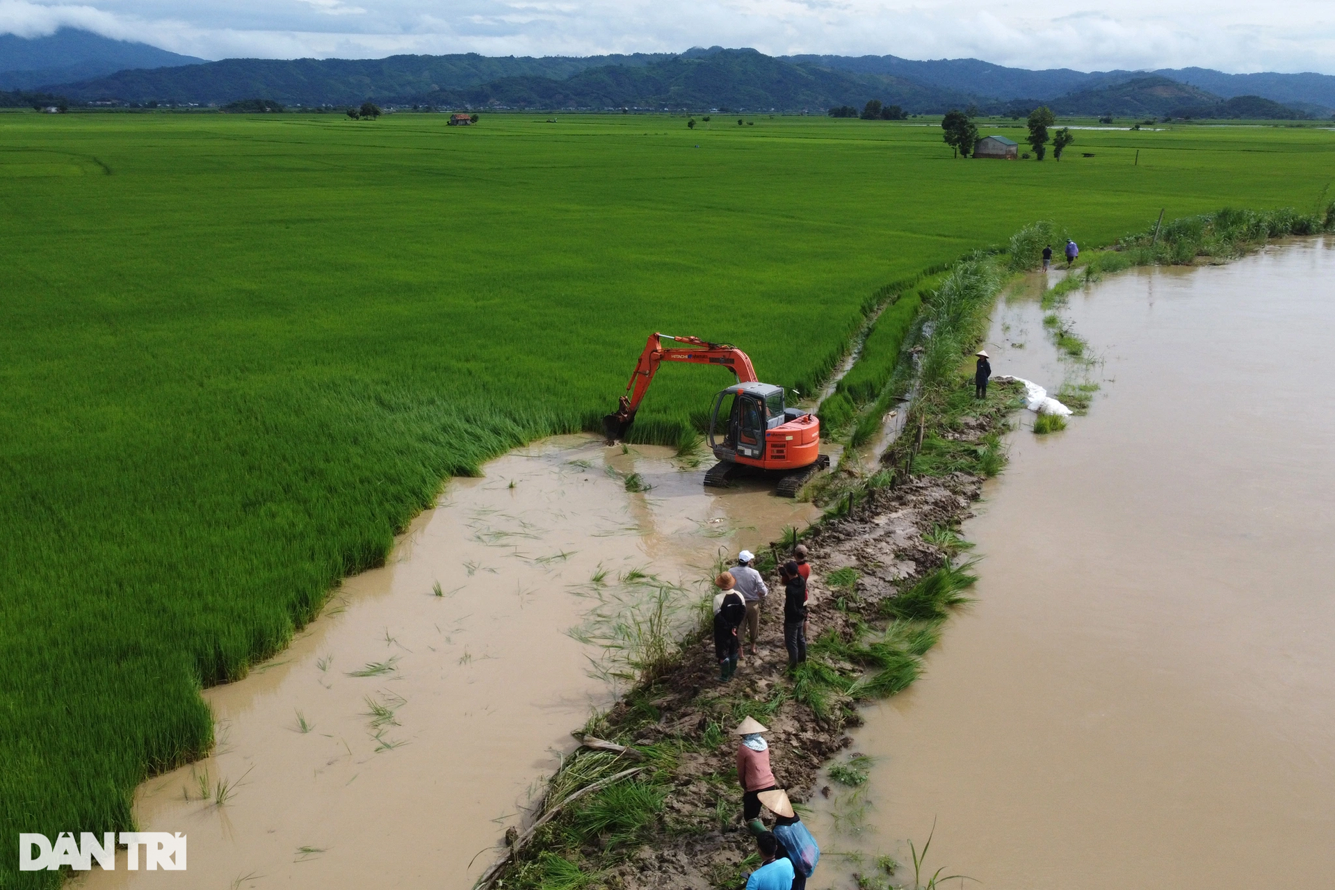 Nông dân căng mình đắp đê cứu nghìn héc ta lúa nguy cơ ngập trắng - 9 Nông dân căng mình đắp đê cứu nghìn héc ta lúa nguy cơ ngập trắng - 9