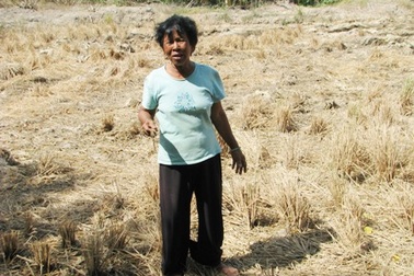 “Năm nay chết đói rồi !”