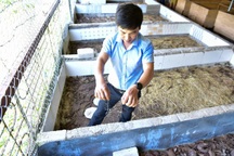 8x kiếm tiền tỷ mỗi năm nhờ khởi nghiệp nuôi bọ cạp, rắn mối… ở Hà Nội