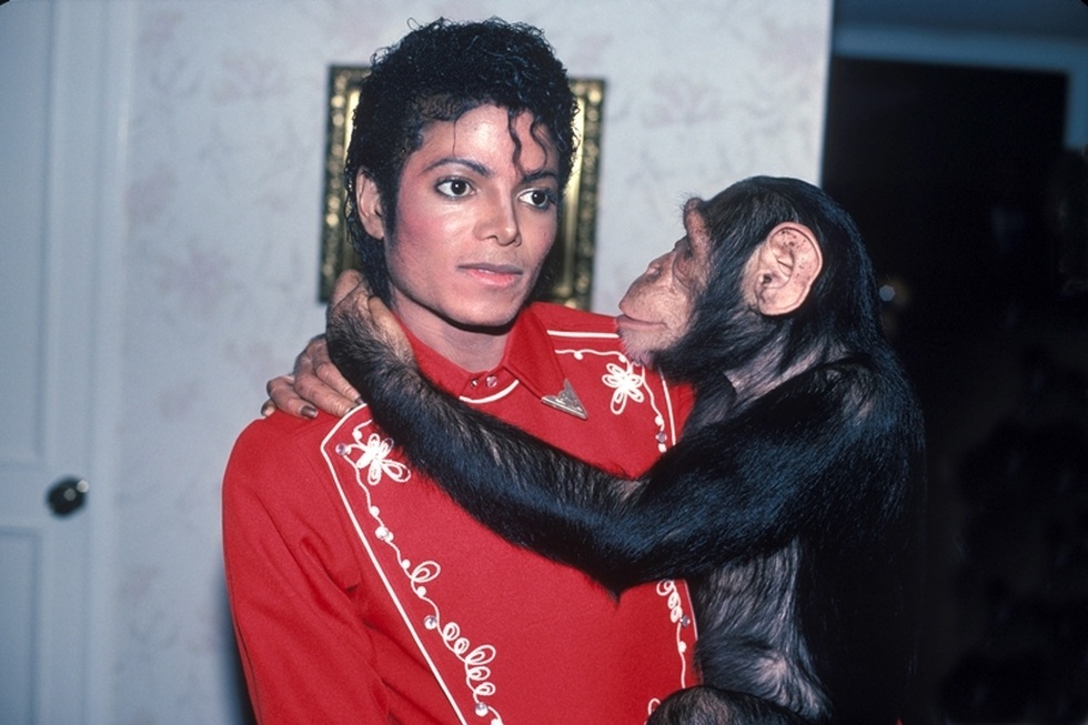 The pain of abandonment of the monkey that was once Michael Jackson's pet - 4