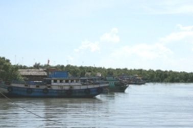 Nợ ngập đầu vì sông Thị Vải ô nhiễm