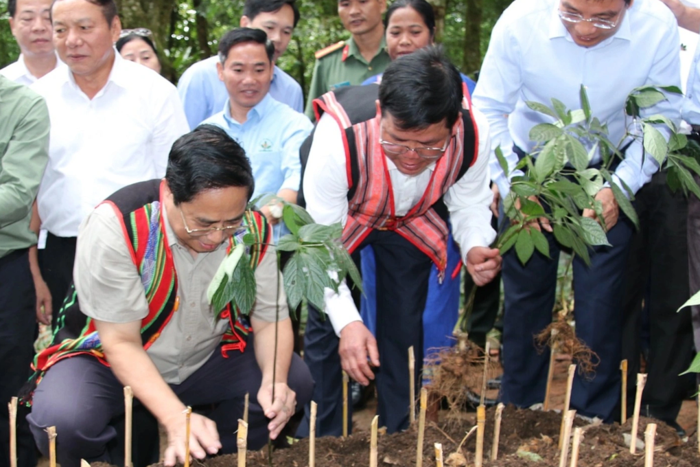 Thủ tướng Phạm Minh Chính thăm vùng trồng sâm Ngọc Linh - 1 Thủ tướng Phạm Minh Chính thăm vùng trồng sâm Ngọc Linh - 1