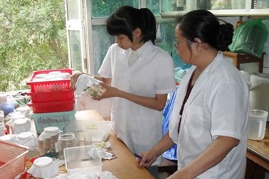 Thu hút hàng loạt nhà khoa học về nước