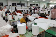 Một cổ phiếu tăng sốc 5000% nhờ đại dịch