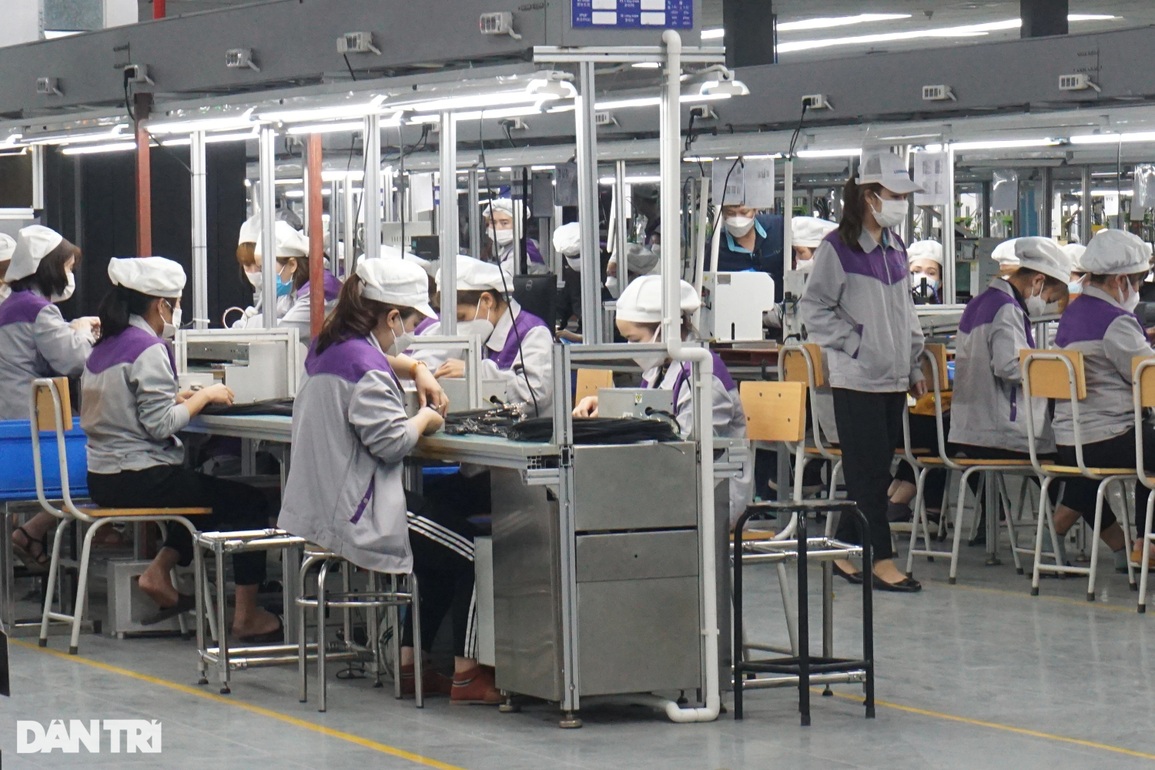 Đã đến lúc mở cửa để F0, F1 đi làm! - 1 Đã đến lúc mở cửa để F0, F1 đi làm! - 1