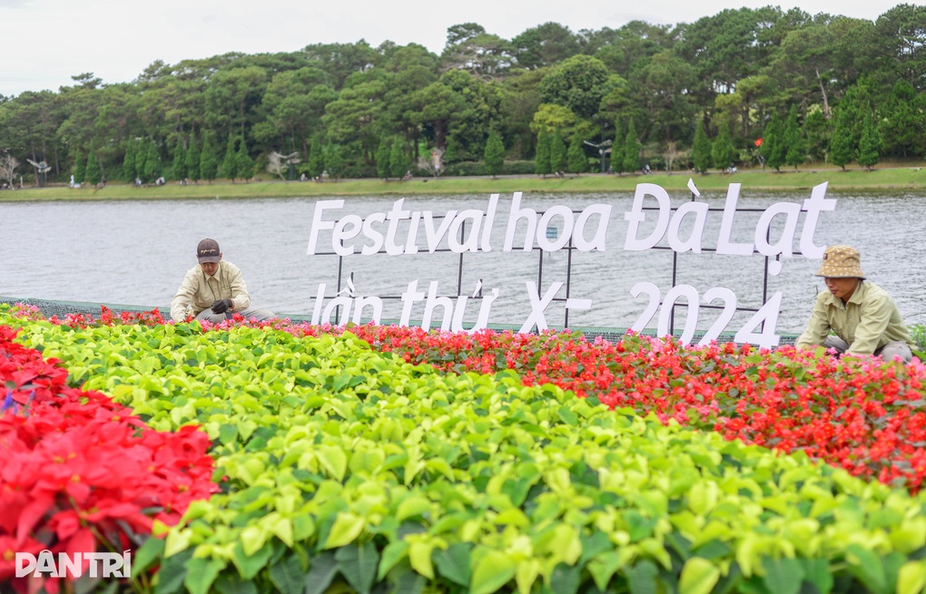 Đà Lạt tràn ngập sắc màu trước thềm Festival hoa - 1 Đà Lạt tràn ngập sắc màu trước thềm Festival hoa - 1