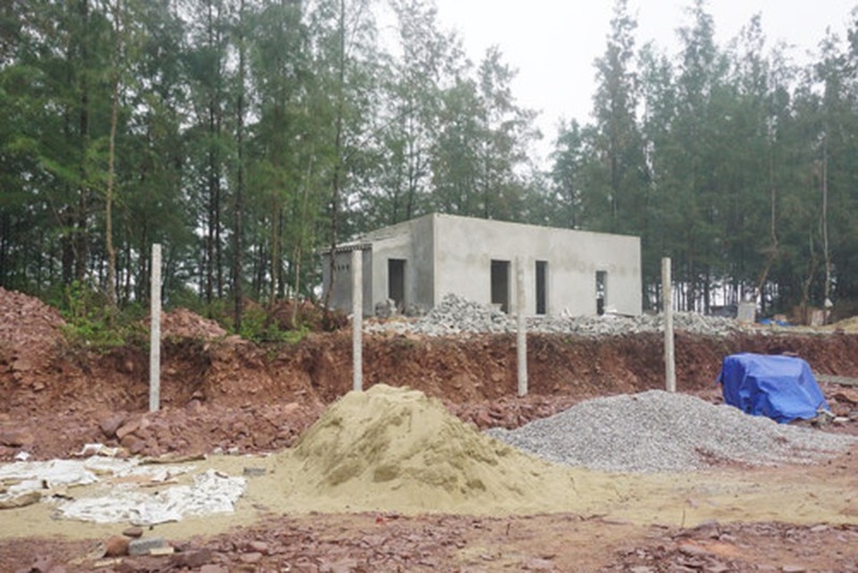 Nghệ An thanh tra các BQL rừng phòng hộ để chặn sai phạm - 2 Nghệ An thanh tra các BQL rừng phòng hộ để chặn sai phạm - 2
