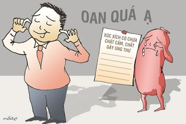 Khi Thủ tướng chỉ đạo một đường, dưới vẫn làm một nẻo