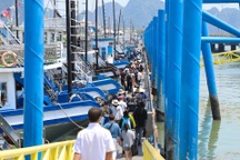 Cảng tàu đông nghịt, tàu du lịch hối hả chở khách ra tham quan vịnh Hạ Long