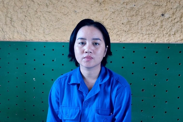 Lập hơn 100 dây hụi, chiếm đoạt hơn 30 tỷ đồng