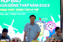 Đồng Tháp kỳ vọng gì ở lễ hội xoài đầu tiên?