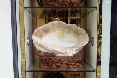 Ngư dân Trung Quốc giàu lên từ tàn phá hệ sinh thái Biển Đông