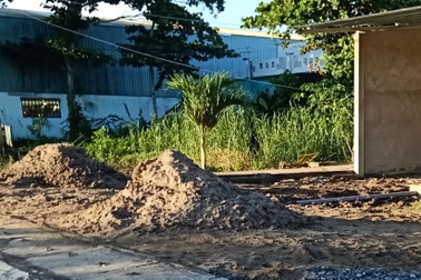 Giá vật liệu xây dựng tăng, Cà Mau cầu cứu Thủ tướng