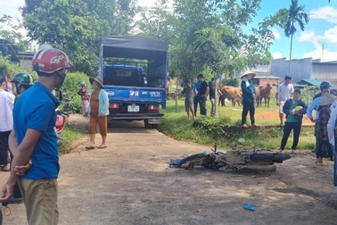 Học sinh gặp nạn tử vong vì… tránh con gà