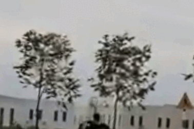 Nhóm "quái xế" thích thể hiện ở TPHCM bị CSGT mật phục bắt