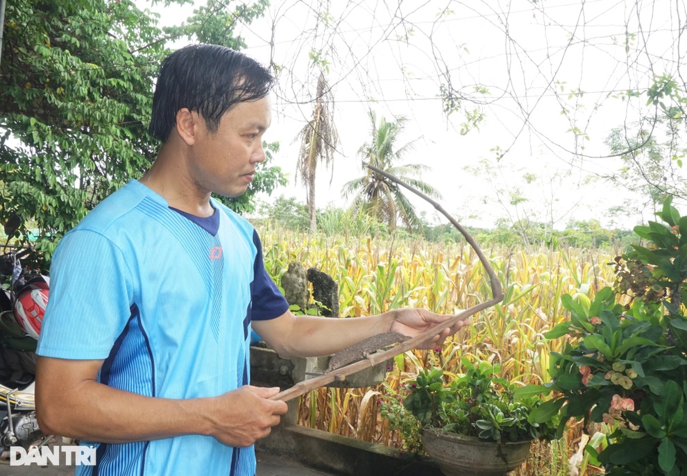Bộ sưu tập những món đồ độc tưởng như đã biến mất - 3 Bộ sưu tập những món đồ độc tưởng như đã biến mất - 3