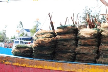 4 “ngư tặc” sa lưới