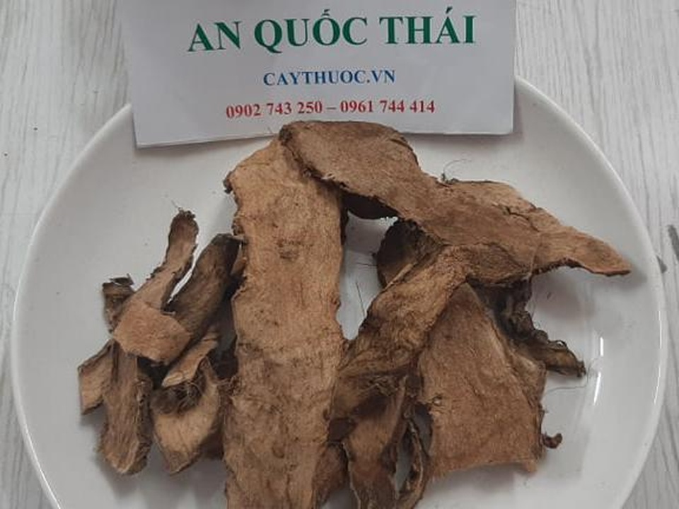 Những loại cây thuốc nam chữa bệnh gan tốt - 5 Những loại cây thuốc nam chữa bệnh gan tốt - 5