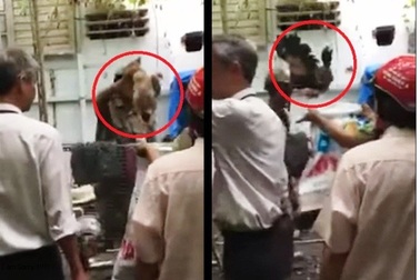 Vụ bẻ khóa vào nhà dân bắt gà: “Anh em nhiệt tình công tác quá!”