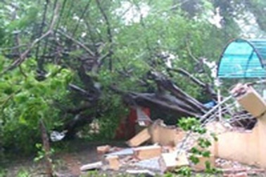 Sẽ có 8 đến 10 cơn bão trong năm nay