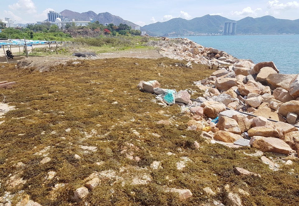 Chủ tịch Khánh Hòa nói gì về phần đất lấn biển thuộc dự án Nha Trang Sao? - 1 Chủ tịch Khánh Hòa nói gì về phần đất lấn biển thuộc dự án Nha Trang Sao? - 1