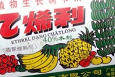 Phát hiện 1.500 ống thuốc thúc chín giấu lẫn cùng hàng nghìn chai thuốc trừ sâu