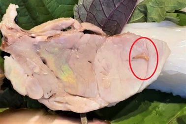 Quán bún đậu nổi tiếng ở TPHCM bị khách tố có giòi