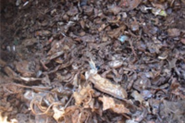 Đà Nẵng: Sẽ cho tiêu hủy “núi rác”