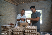 2 người đàn ông tuổi Dậu bỏ lương cao về quê làm chuyện kỳ lạ với trứng gà