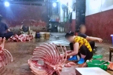 Người dân như bị tra tấn bởi tiếng kêu la thảm thiết từ lò mổ hết phép