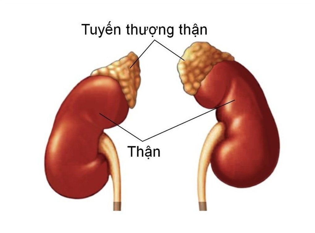 Bé trai tăng cân vù vù, chân tay rậm lông vì sai lầm trong kê đơn thuốc - 1