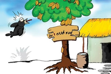 Sàn bất động sản… bán vịt trời giá 350 tỷ đồng